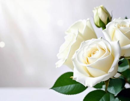 美しい白い薔薇の花束の写真