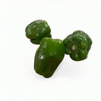 ピーマン　つやつや ピーマン,野菜,つやつやの写真素材