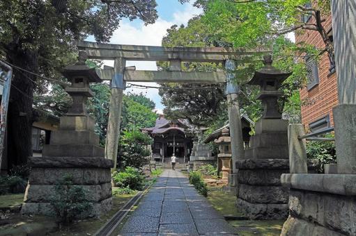 山王日枝神社(大田) 山王日枝神社(大田) 山王日枝神社,別称大森日枝神社,酒井権左衛門の写真素材