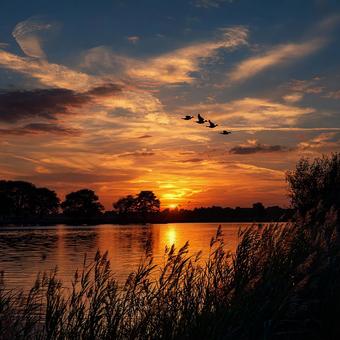 湖に沈む美しい夕焼け 湖に沈む美しい夕焼けの写真