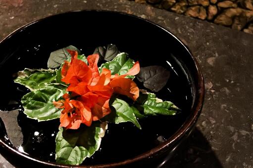 暗い背景に浮かぶブーゲンビリア ブーゲンビリア,花,赤の写真素材