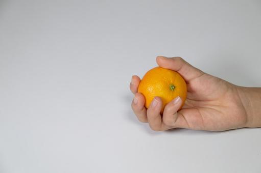 手で掴むみかんとコピースペース みかん,手,人の写真素材