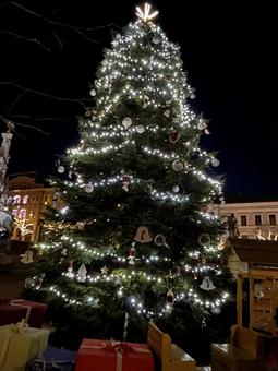 大きなクリスマスツリー　ヨーロッパ クリスマスツリー,クリスマス,イルミネーションの写真素材