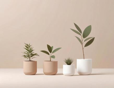 植物のある暮らし 植物のある暮らしの写真