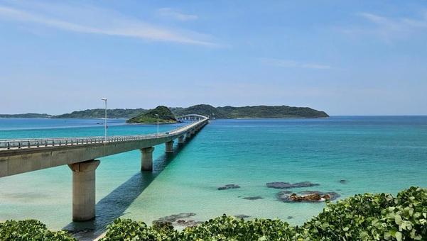 2025_橋 2025_橋の写真