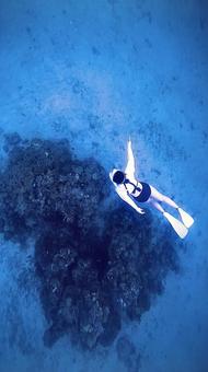 Photo, in the sea, submergence, swim, 