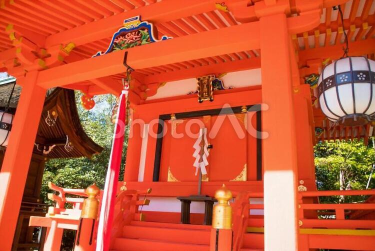 北野天満宮の社 北野天満宮,植物,旅行の写真素材