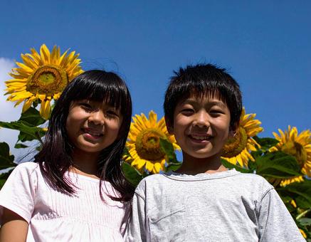 ひまわりと青空と子供たち ひまわりと青空と子供たちの写真