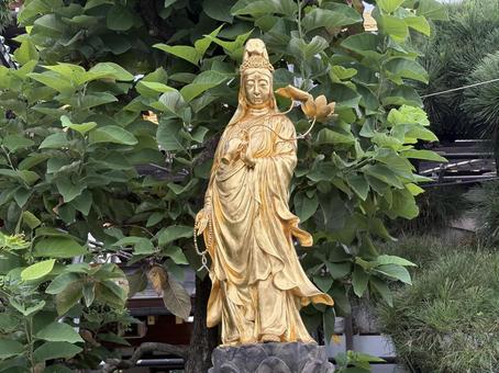 観音様 観音様 黄金,神様,銅像の写真素材