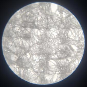 Photo, tissue, construction, micro, 
