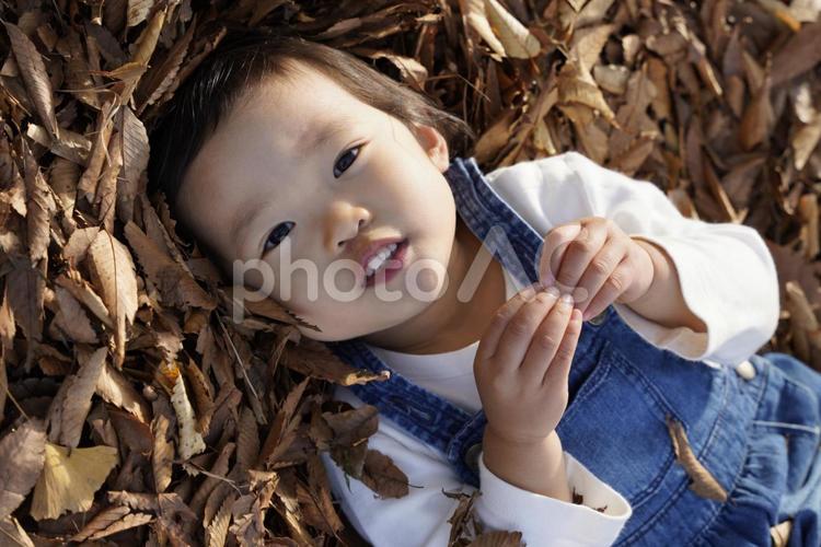 子供　秋　枯葉　少女 秋,子供,枯葉の写真素材