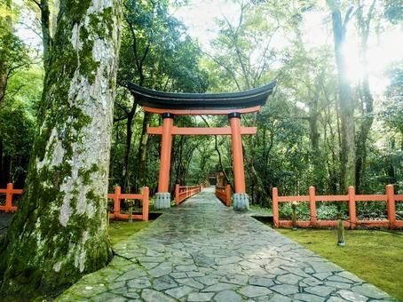 宇佐神宮 宇佐神宮,鳥居,パワースポットの写真素材