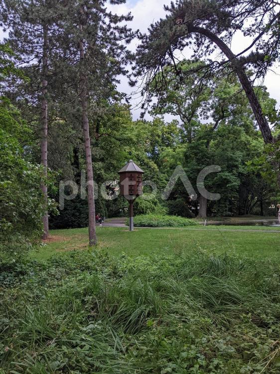 鳥の巣箱（集合住宅） プライヒャーグラッヒス,都市公園,巣箱の写真素材