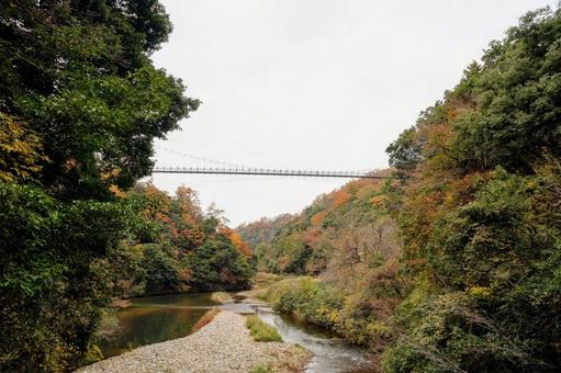 神話の舞台、鬼の舌震に架かる吊り橋 神話の舞台、鬼の舌震に架かる吊り橋 鬼の舌震,吊り橋,鬼舌振の写真素材