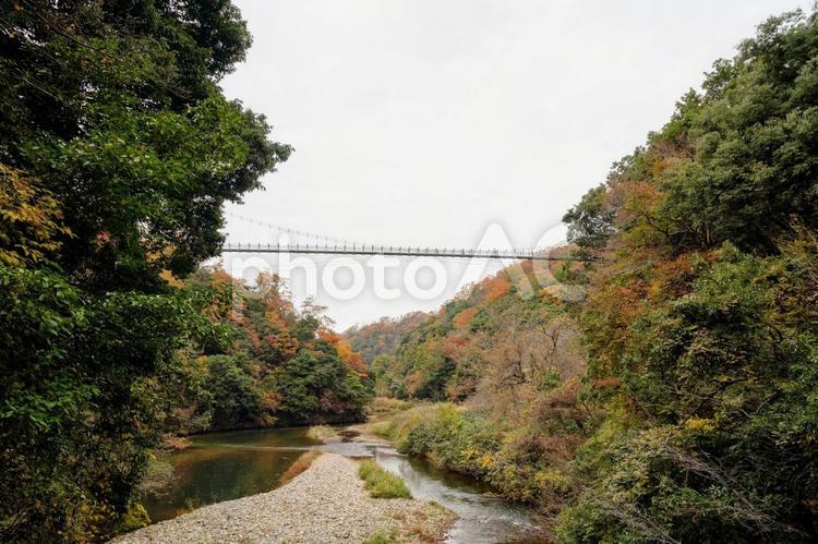 神話の舞台、鬼の舌震に架かる吊り橋 鬼の舌震,吊り橋,鬼舌振の写真素材