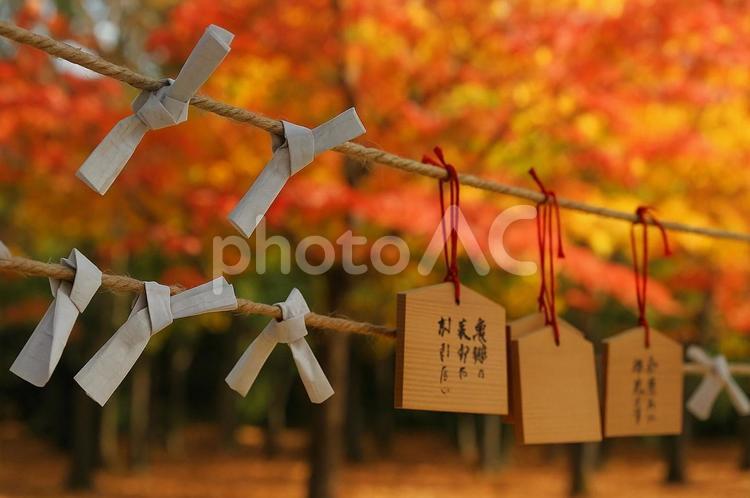 紅葉背景の絵馬とおみくじ・神社・願掛け 絵馬,おみくじ,紅葉背景の写真素材
