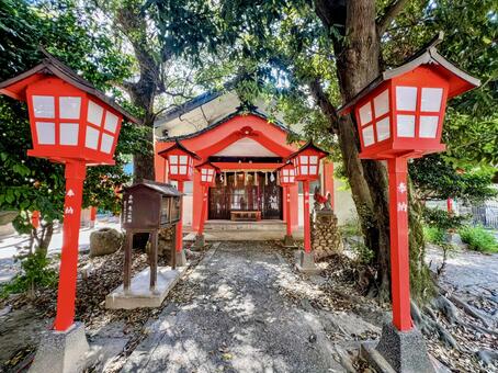 山之神社（大山祇大神） 山之神社（大山祇大神）,参拝,参道の写真素材