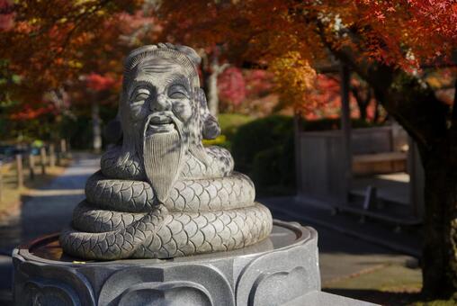 三室戸寺の宇賀神 11月,秋,紅葉の写真素材