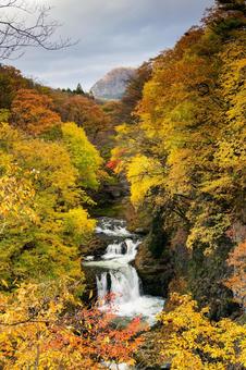 秋の鳳鳴四十八滝(22) 秋,紅葉,滝の写真素材