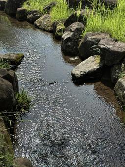 Photo, ogawa, ancient lotus no sato, saitama, 