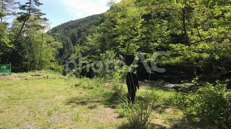 ゼロ磁場あたりの森 森,林,ゼロ磁場の写真素材