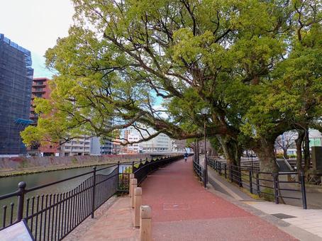 甲突川　歴史ロード　維新ふるさとの道の写真