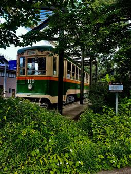 旧仙台市電モ100形電車119号 旧仙台市電モ100形電車119号 旧仙台市電モ100形電車119,宮城県,宮城の写真素材