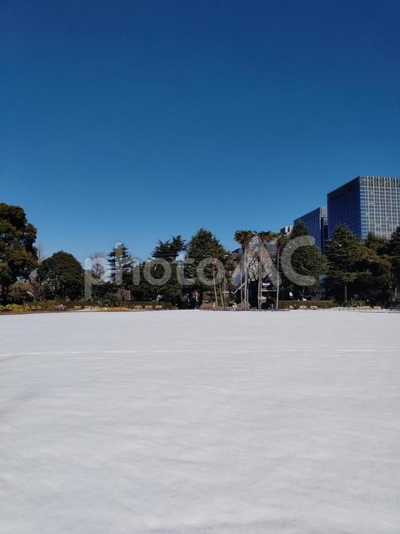 雪景色　雪に覆われた公園　５ 雪,素材,背景の写真素材