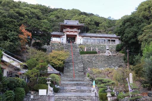 和歌浦天満宮　楼門と石段 和歌浦天満宮,楼門,高陽門の写真素材
