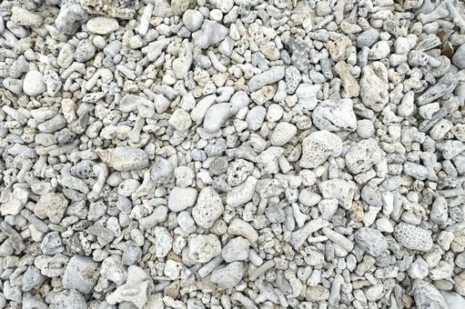 砂浜に打ち上げられた珊瑚の化石 砂浜に打ち上げられた珊瑚の化石 化石珊瑚,砂浜,地面の写真素材
