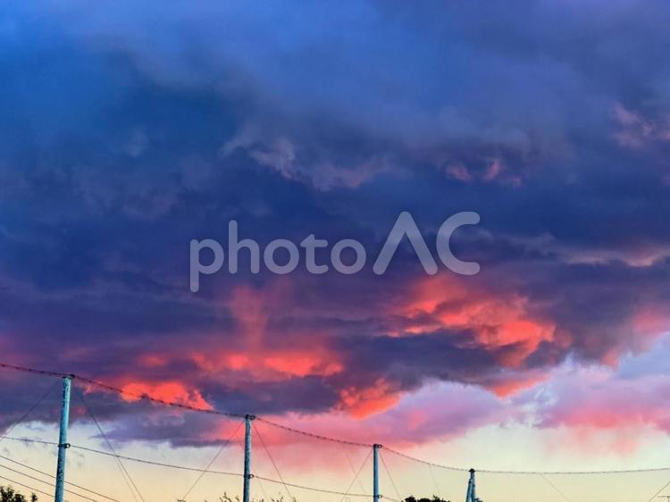 夕方のそら 空,鮮やか,晴れの写真素材