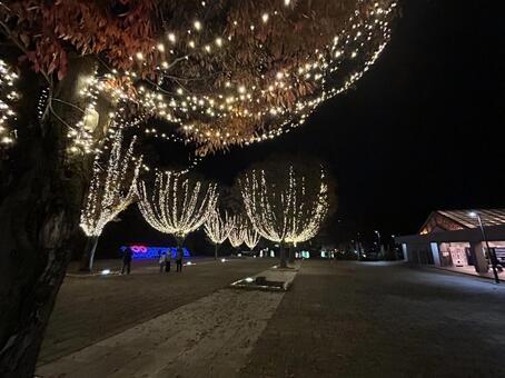 西山公園 クリスマス イルミネーション クリスマス,イルミネーション,ハートの写真素材