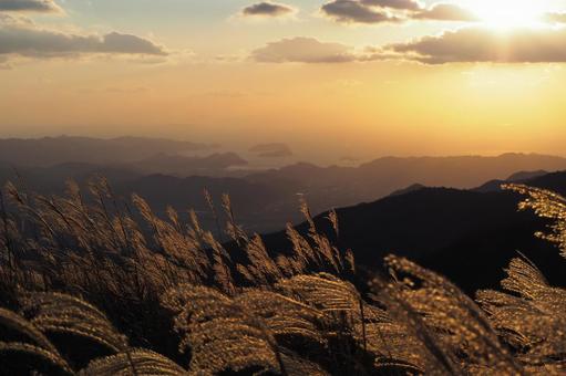ススキ ススキ 秋,自然,風景の写真素材