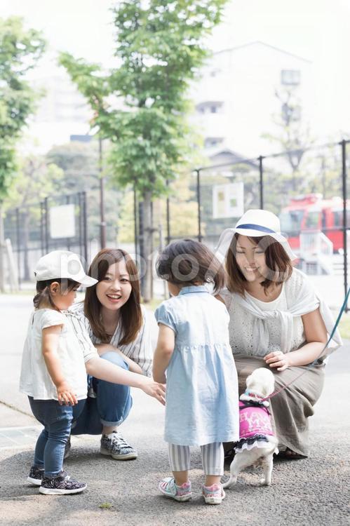 ママ友　母親　育児　 ママ友,公園,女性の写真素材