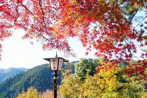 郡上八幡の秋の絶景 秋,紅葉,赤の写真素材