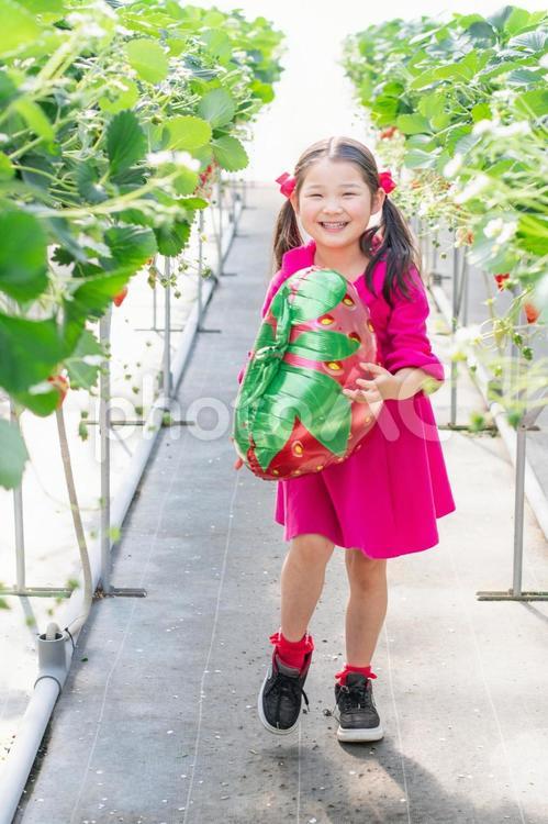 いちごの風船を持つ女の子 いちご,風船,女の子の写真素材