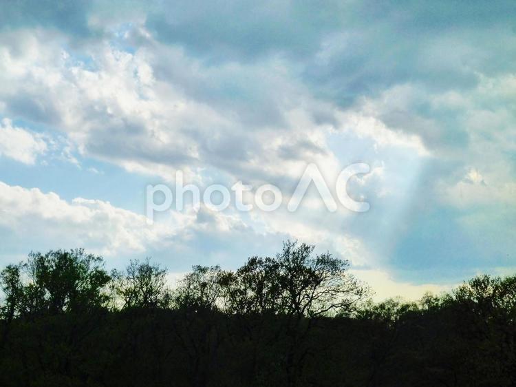森と空1 森と空1 きれい,はしご,チンダル現象の写真素材