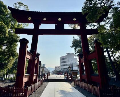 夏の気比神宮　表参道と重文大鳥居 神社,大鳥居,福井の写真素材
