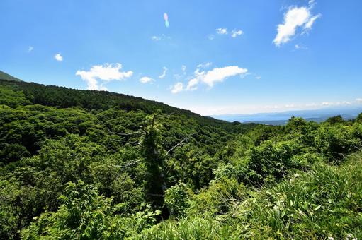 緑豊かな夏の山々と青空の爽やかな風景﻿ 山,夏,風景の写真素材