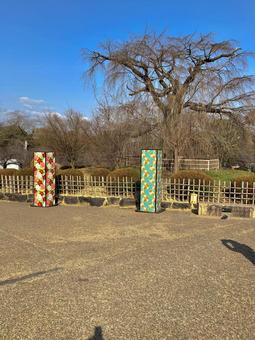 Photo, park, kyoto, weather, 