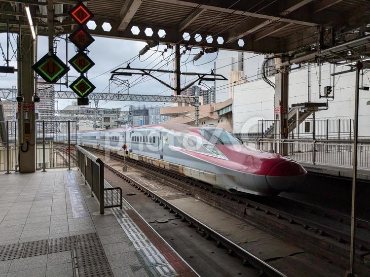 入線してくるこまち号 新幹線,こまち,東北新幹線の写真素材