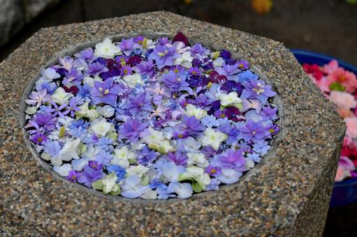 花手水 花手水の写真