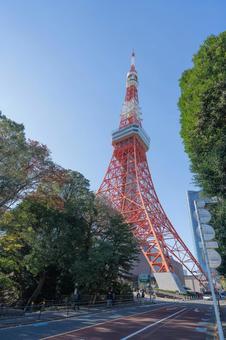 東京タワー 東京タワー,日本,東京の写真素材