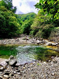 川と森 川と森 川,水辺,森の写真素材