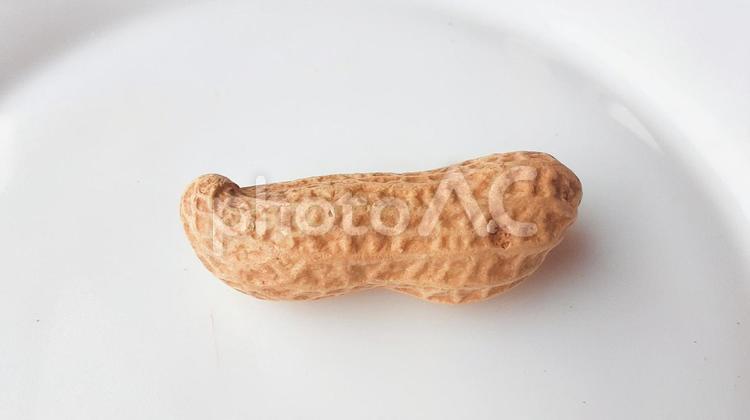 殻付きピーナッツ・2 ピーナッツ,落花生,殻付きの写真素材