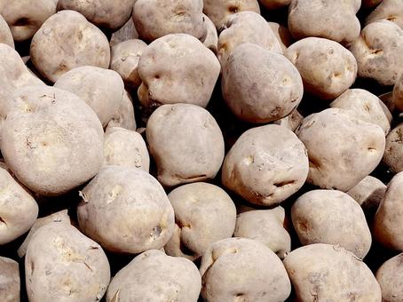 野菜・ジャガイモ ジャガイモ,ポテト,野菜の写真素材