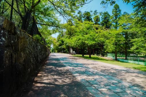 【奈良】奈良のお寺巡り 2025 【奈良】奈良のお寺巡り 2025 奈良,東大寺,2025の写真素材