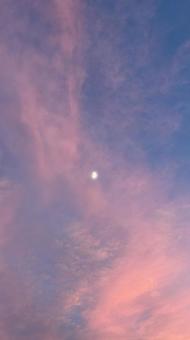 夕空 夕空の写真
