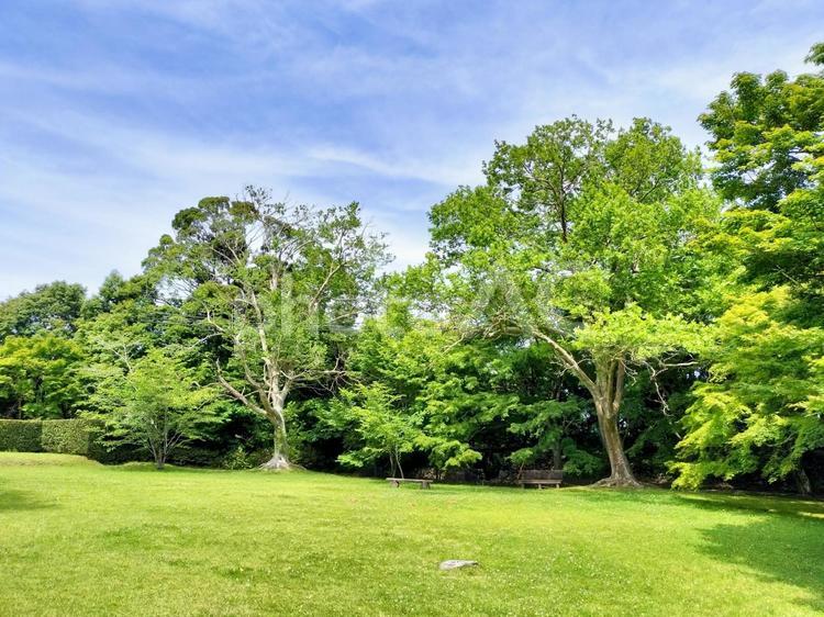 鳥羽山公園　静岡県浜松市天竜区二俣町二俣 鳥羽山公園,静岡県,浜松市の写真素材