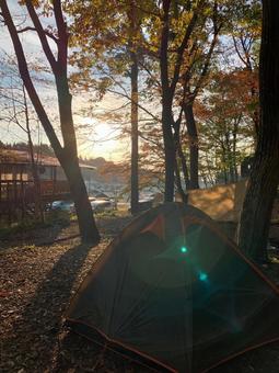 キャンプで夕日に照らされて キャンプで夕日に照らされての写真
